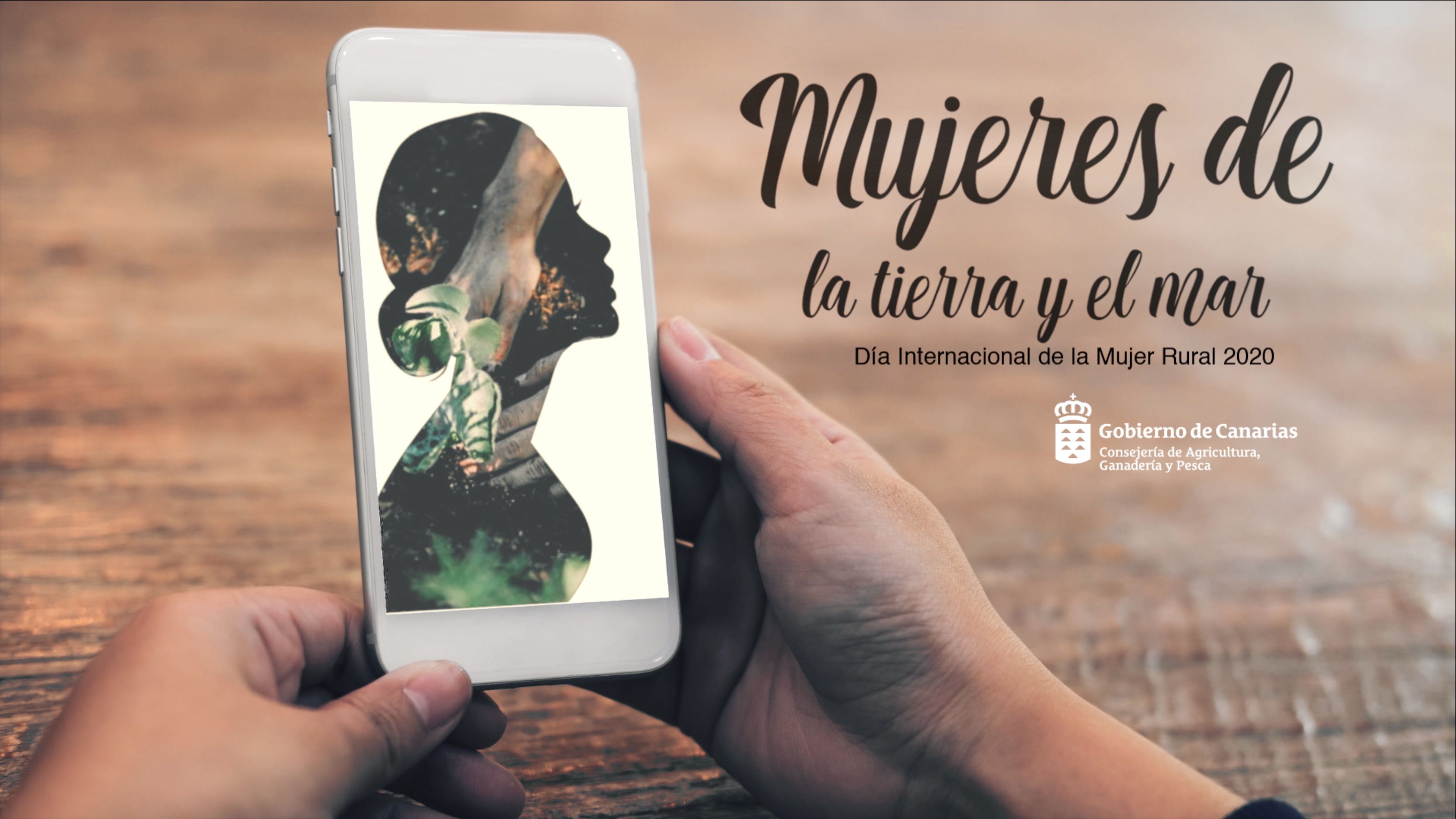 CARTEL DMR