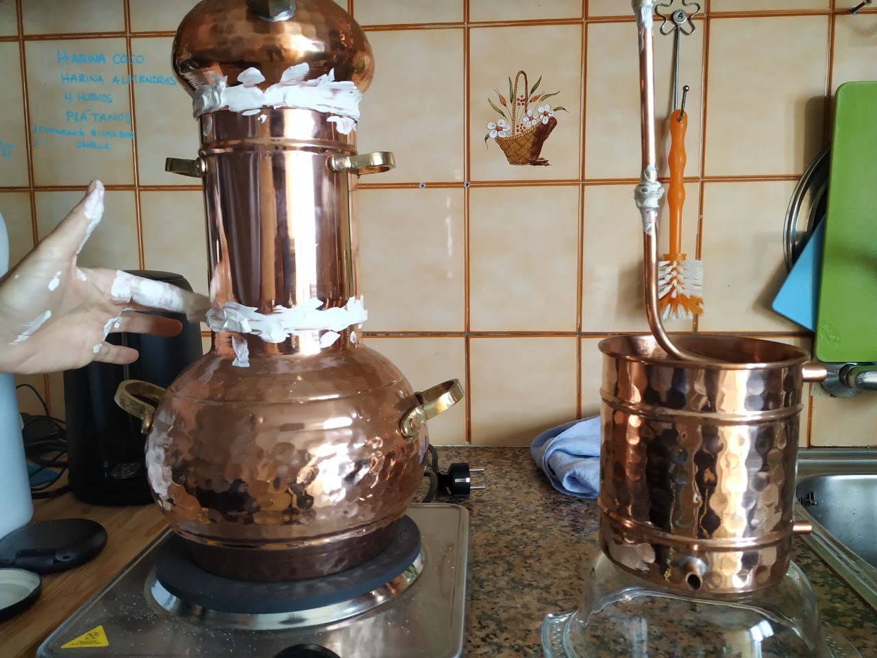 Extracteur d'huiles essentielles de 12 litres
