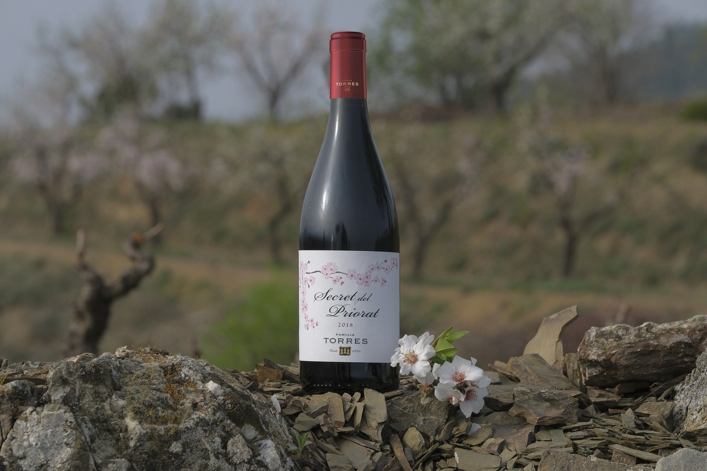 FAMILIA_TORRES-Secret_del_Priorat-1