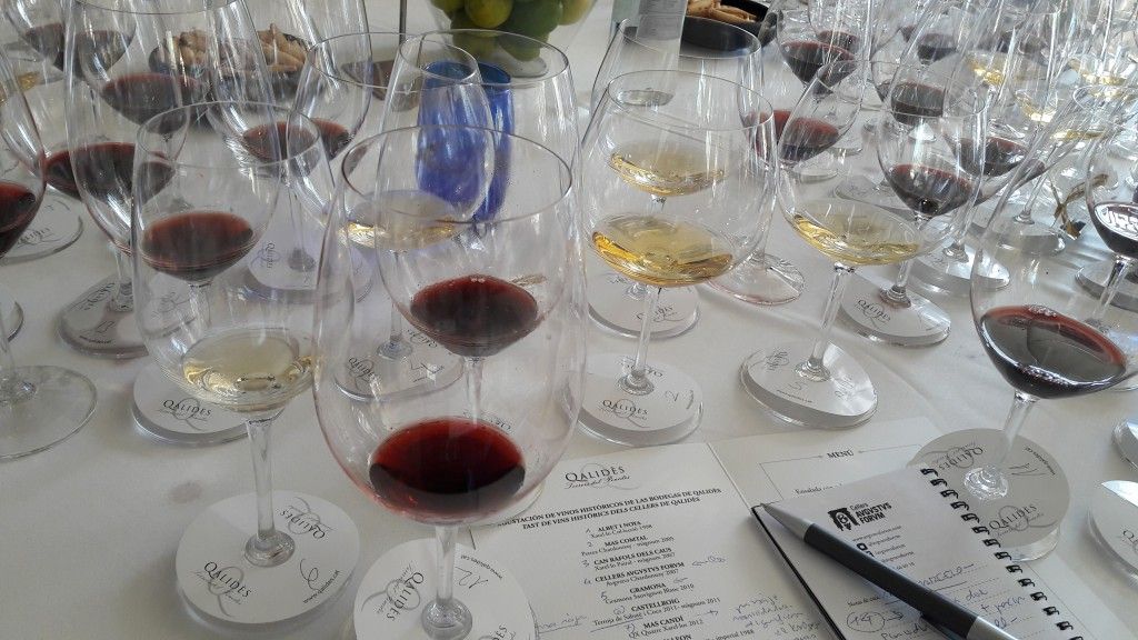 20190305_140406 [Máximo Ancho 1024 Máxima Altura 768]