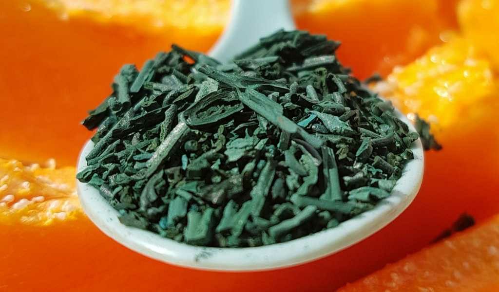 Spi3 [Máximo Ancho 1024 Máxima Altura 768]