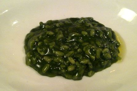 arroz plancton