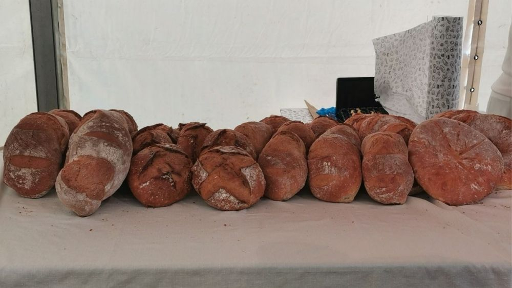 Panes artesanos en fila / Jorge Guitián