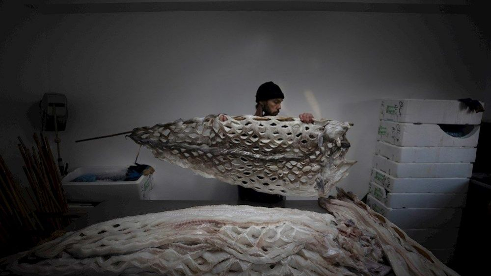 Jesús Ángel García prepara ejemplares de congrio para su posterior secado en Elaboraciones Lemar / Foto: EFE/Cabalar