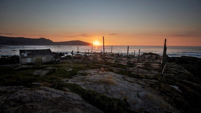 Multitud de ejemplares de congrio se secan al sol de Costa da Morte, en una de las últimas cabrias que quedan en Europa / Foto: EFE/Cabalar Multitud de ejemplares de congrio se secan al sol de Costa da Morte, en una de las últimas cabrias que quedan en Europa / Foto: EFE/Cabalar