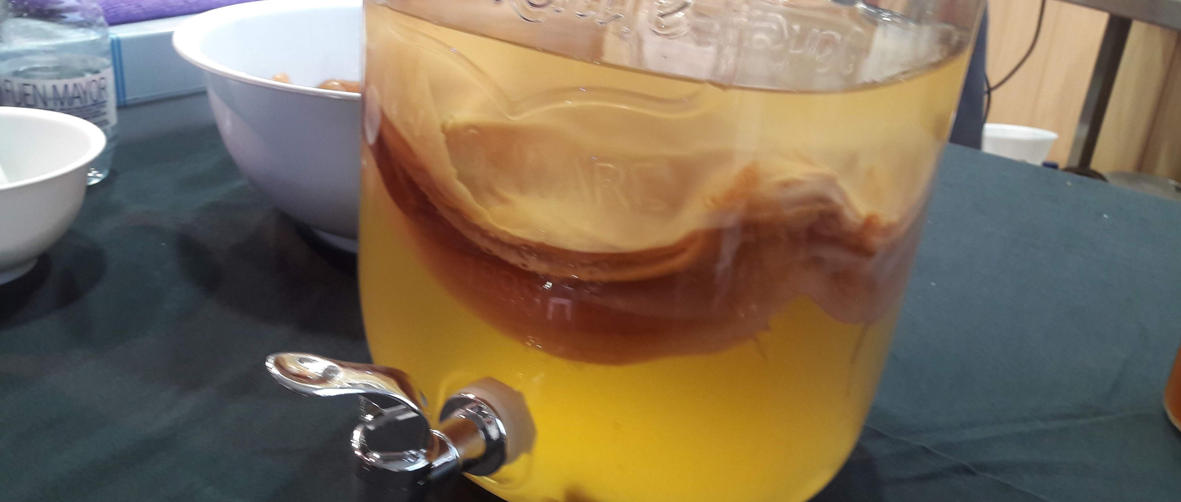 Kombucha de NUB