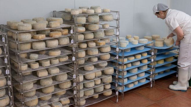 Una artesana en su quesería / Canva Una artesana en su quesería / Canva