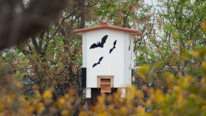 Cajas refugio de murciélagos en los viñedos de Fontanars dels Alforins / Foto: Bodega Enguera