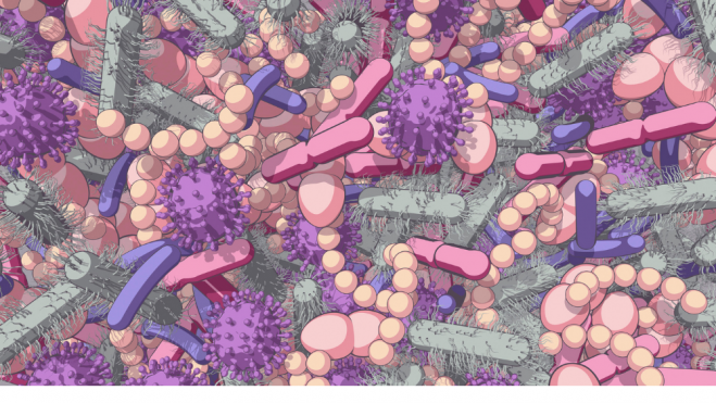Ilustración conceptual sobre la microbiota humana / Foto: Canva