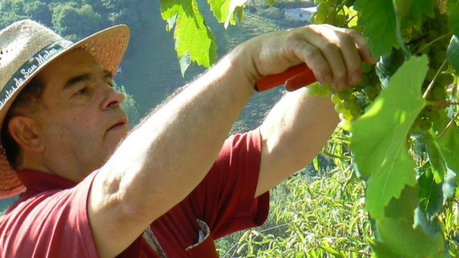 Antón "Chicote" entre los viñedos de sus vinos 