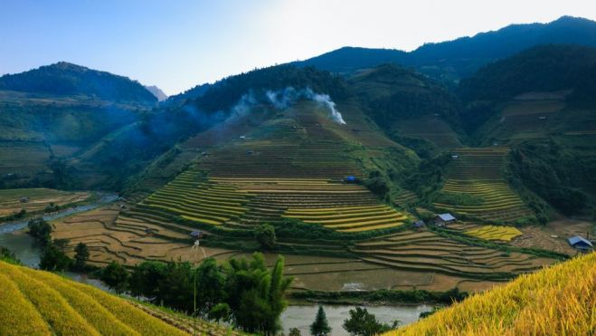 Terrazas de arrozales en China / Foto: Quang Nguyen Vinh en Pexels