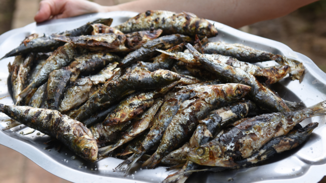 Bandeja de sardinas asadas / Foto: Canva