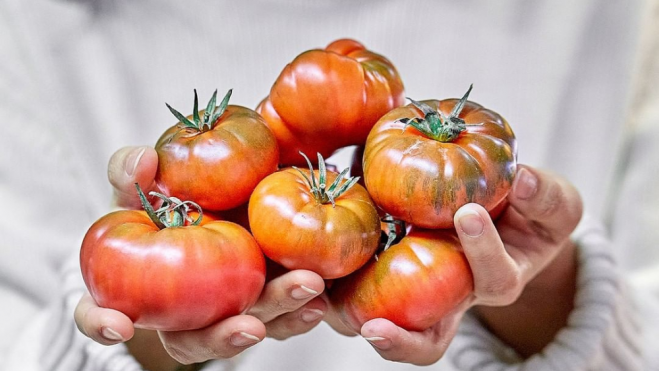 Tomates morunos de la Huerta de Carabaña / Foto: Instagram