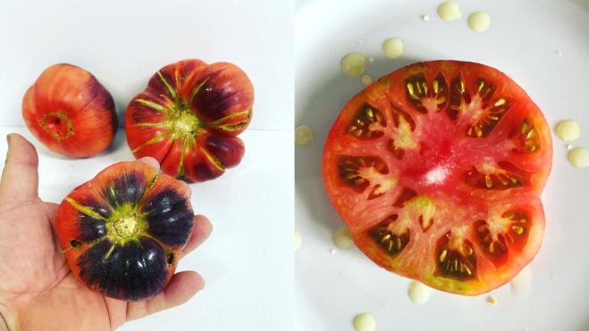 Tomate azul de Aroa Kosta / Foto: Instagram