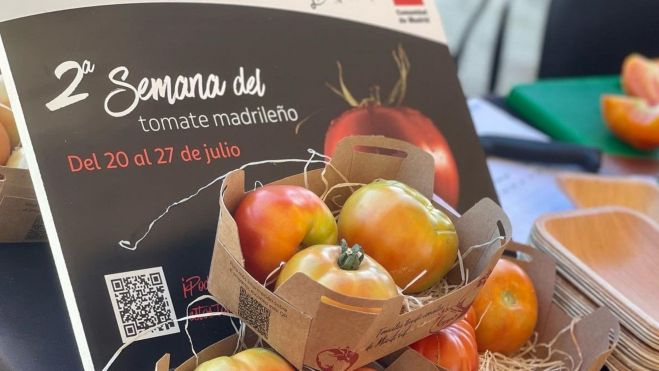Tomates expuestos en la presentación de la 2ª semana del tomate madrileño (2022)