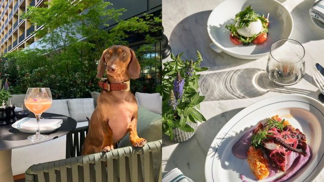La terraza, "dog friendly", y detalle de la mesa en Las Brasas / Foto cedida