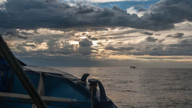 Barco bonitero a primera hora de la mañana / Foto: Ministerio de Agricultura, Pesca y Alimentación