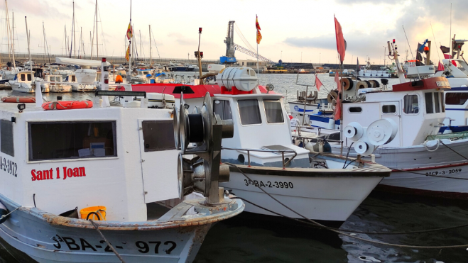 Barcas de pesca en el puerto de Palamós / Foto: Laia Antúnez Barcas de pesca en el puerto de Palamós / Foto: Laia Antúnez