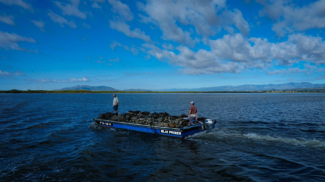 Mejilloneros en barca realizan su tarea en la bocana del Fangar, en el Delta del Ebro. Foto: EFE / Enric Fontcuberta