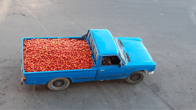 Camión con tomates / Foto: Canva