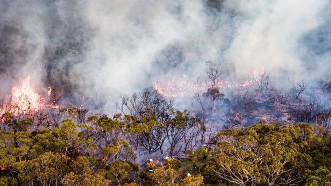 Incendio de un bosque a vista de dron / Foto: Canva