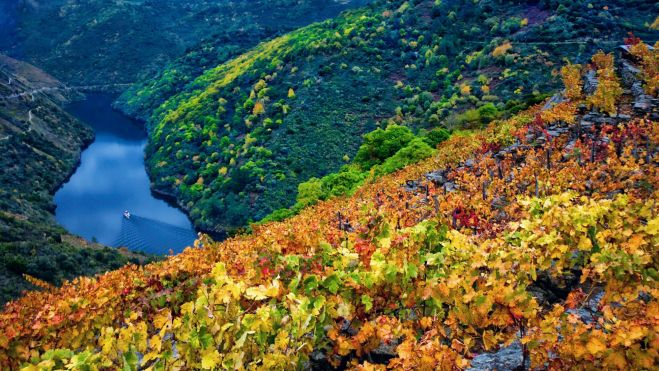 Paisaje con los colores del otoño de la viticultura heroica de la Ribeira Sacra / Foto: Canva