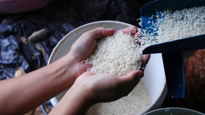 Manos cogiendo arroz en un molino / Foto: Canva