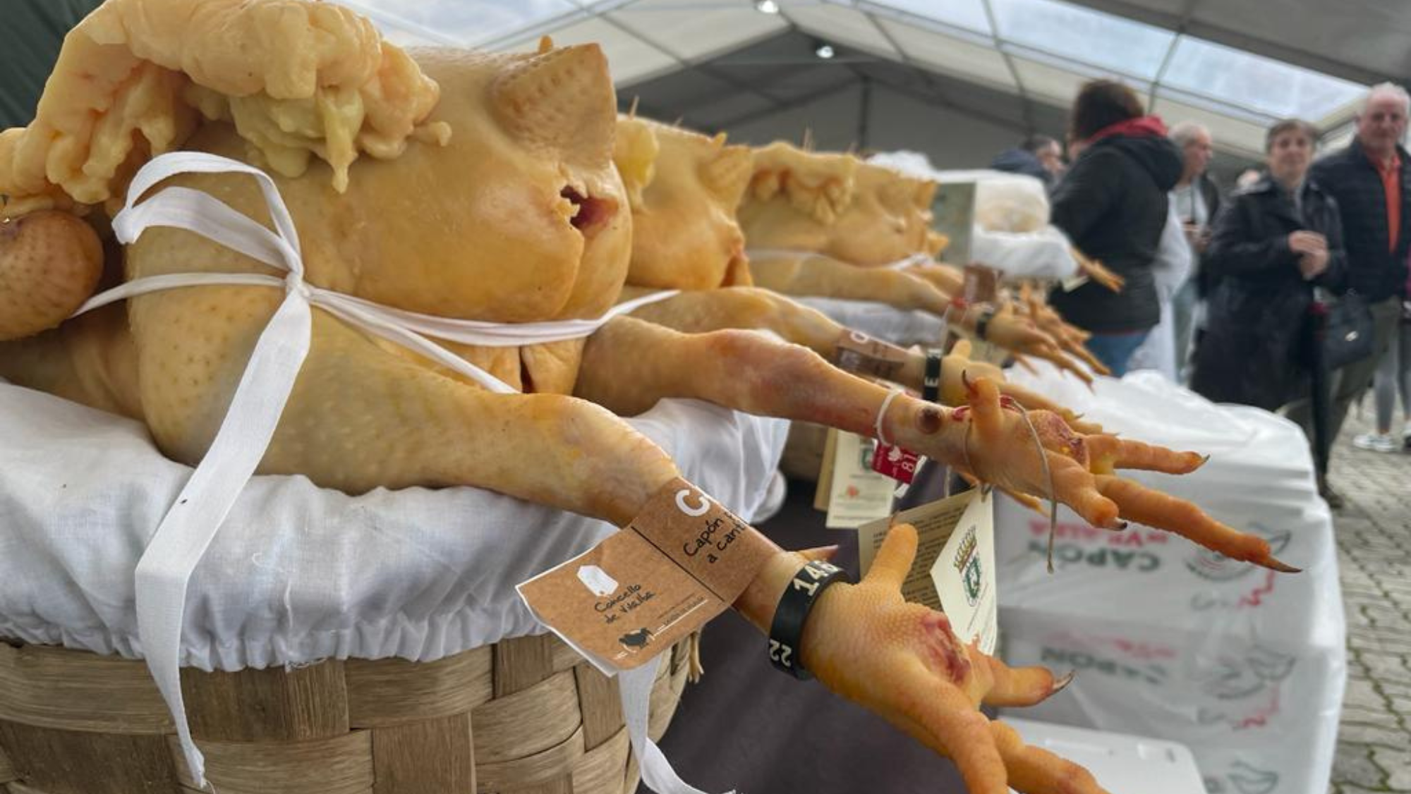 Feria del Capón de Villalba / Concello de Villalba