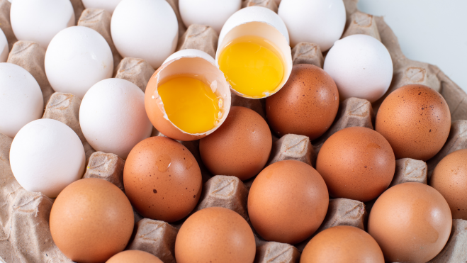 Diversos tipos de huevos / Foto: Canva