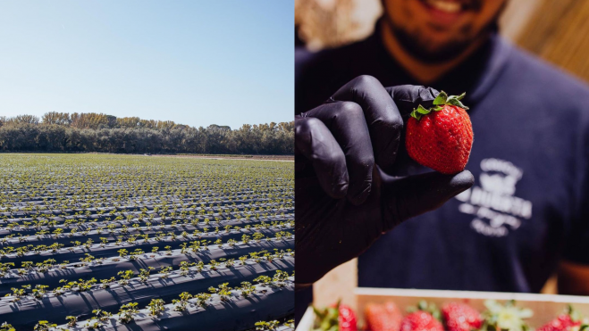 Huerta de Aranjuez : Foto redes