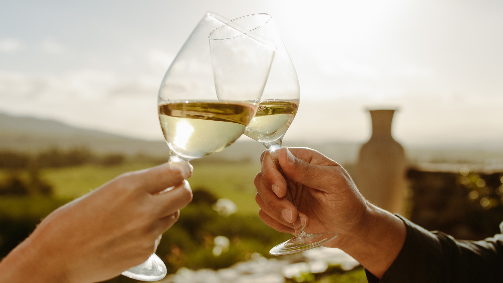Brindis con copas de vino blanco en un viñedo / Foto: Canva / Ressons Penedès by Cruïlla: un fin de semana de conciertos en bodegas
