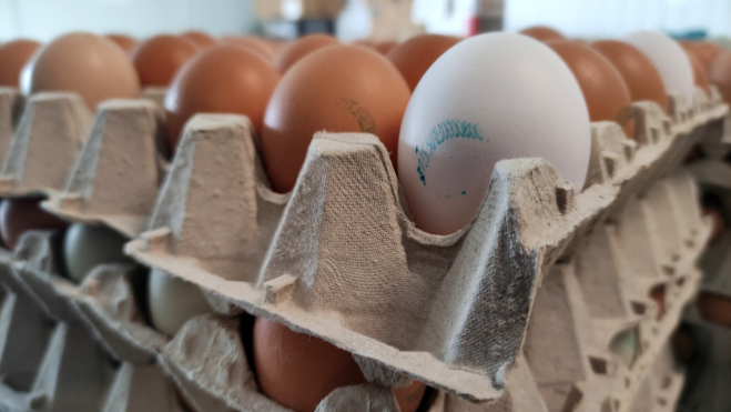 Los huevos camperos tienen un código que empieza por el número 1 / Foto: Òscar Gómez