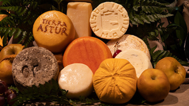 Bodegón con diversos quesos asturianos / Foto: Tierra Astur