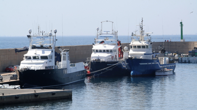 Barcos pesqueros en el puerto de L'Ametlla de Mar / Foto cedida