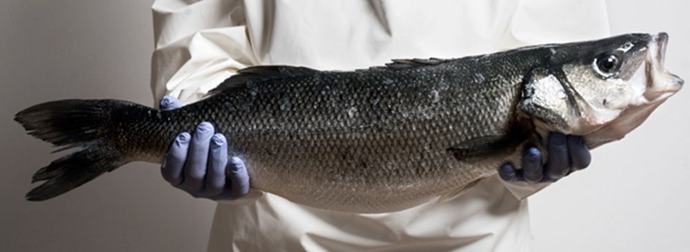 12_FotoCorporativaGranLubinaAquanaria