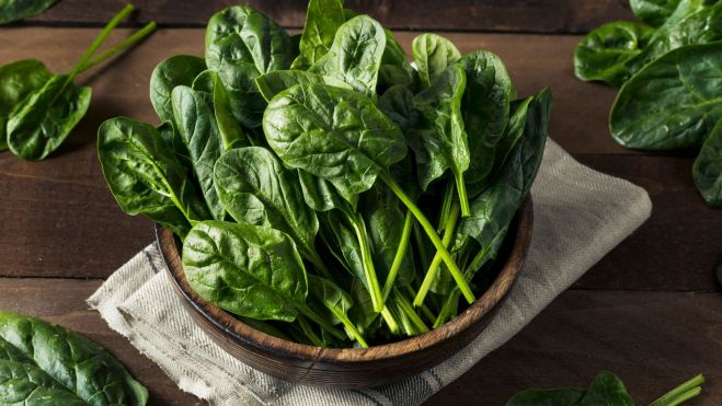 Plato de espinacas / Foto: Canva Plato de espinacas / Foto: Canva