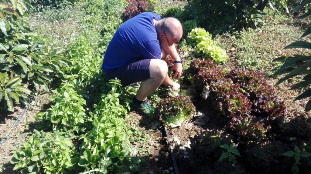 IMG-20190222-WA0072 [Máximo Ancho 1024 Máxima Altura 768]