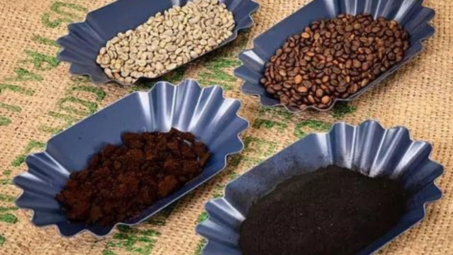 Muestras de granos de café sin tostar y tostados, café molido sobrante y biocarbón de café usado para la construcción y creado por el equipo de investigadores / Foto: Carelle Mulawa-Richards Universidad RMIT