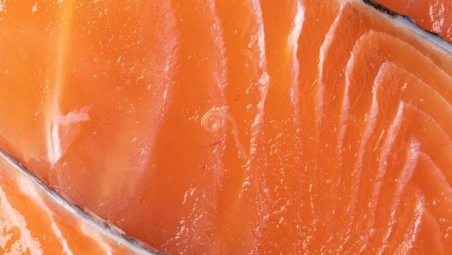 Filete de salmón infectado de anisakis / Foto: Canva