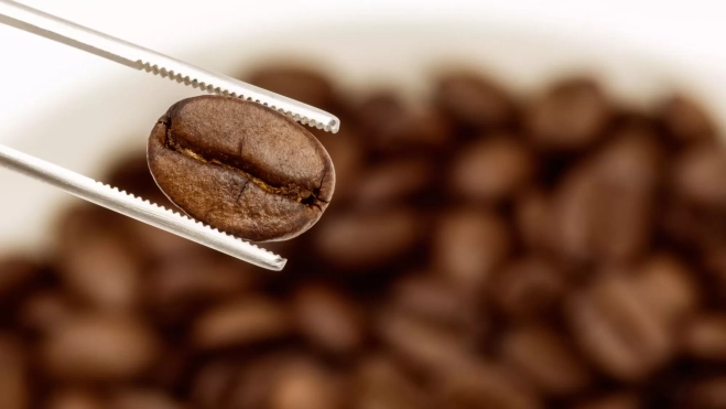Detalle de un grano de café / Foto: Canva