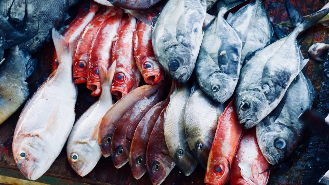 Pescados variados en un puesto de mercado / Foto: Canva