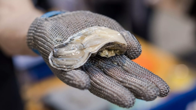 Preparación de ostras para comer en un mercado / Foto: Canva