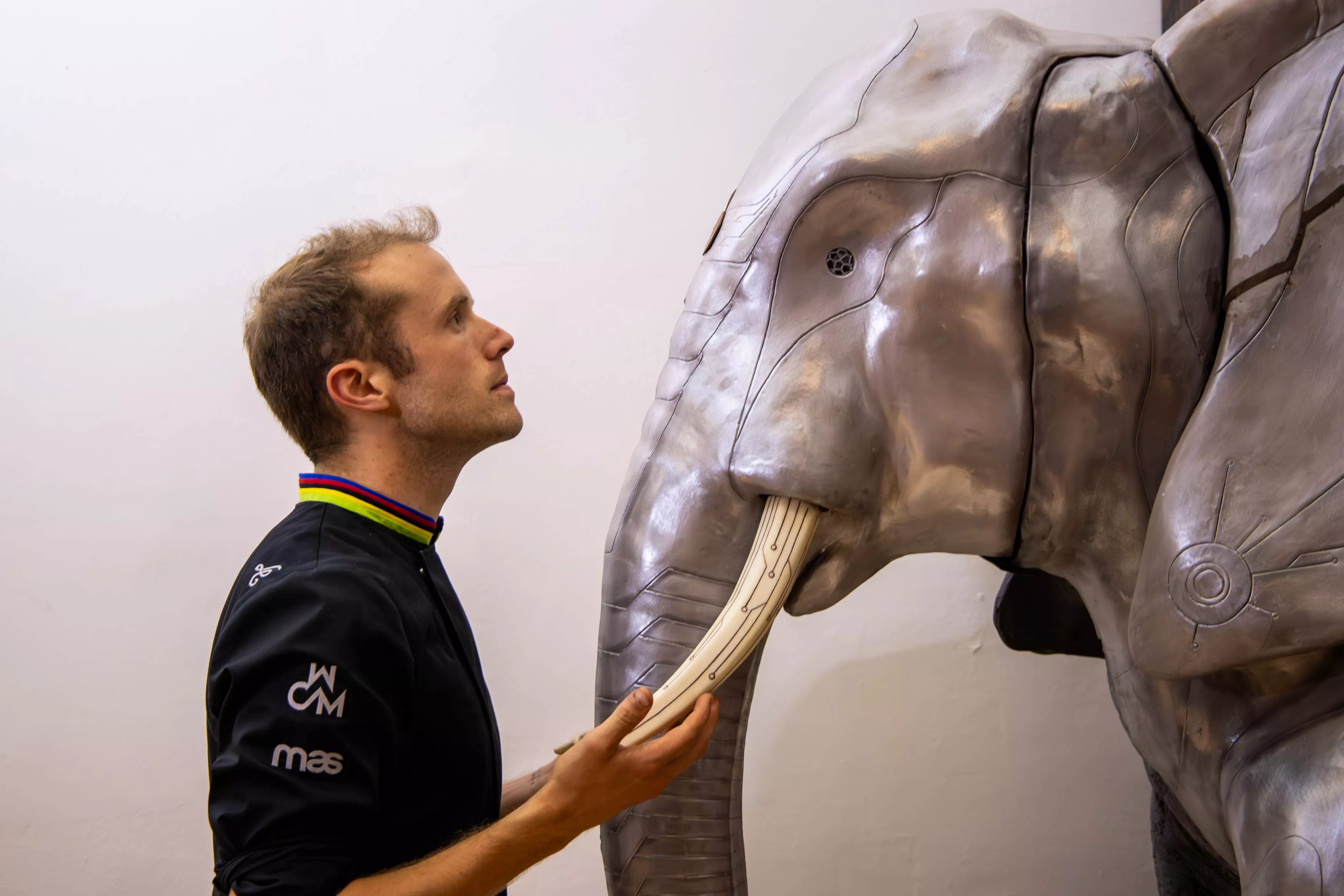 El elefante de 100 kilos de chocolate de Lluc Crusellas llega a Barcelona y ya lo puedes visitar / GALA ESPÍN