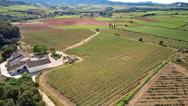Los viñedos y la masía de Mas Llinda en el Penedès / Foto cedida