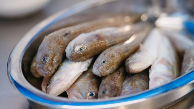 Pescado listo para ser cocinado en GastroMar l'Ampolla / Foto cedida