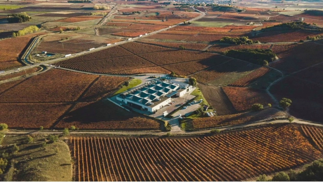 Bodega Cepa 21 y sus viñedos / Foto cedida Bodega Cepa 21 y sus viñedos / Foto cedida