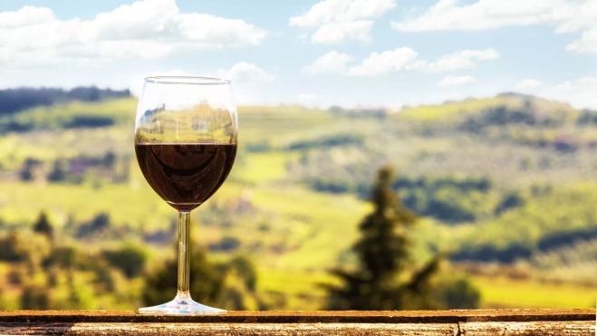 Copa de vino en un paisaje de viñedos / Foto: Canva