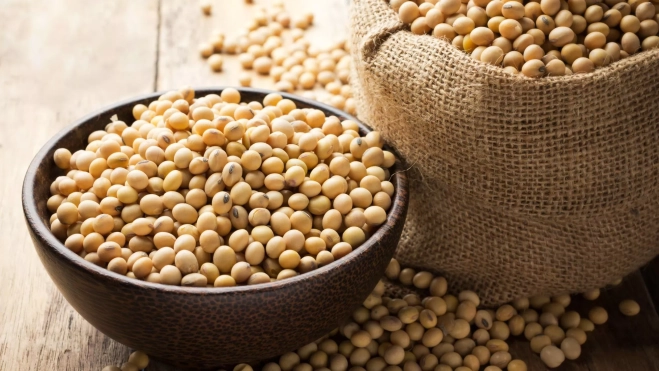 Cuenco y saquito con habas de soja / Foto: Canva Cuenco y saquito con habas de soja / Foto: Canva