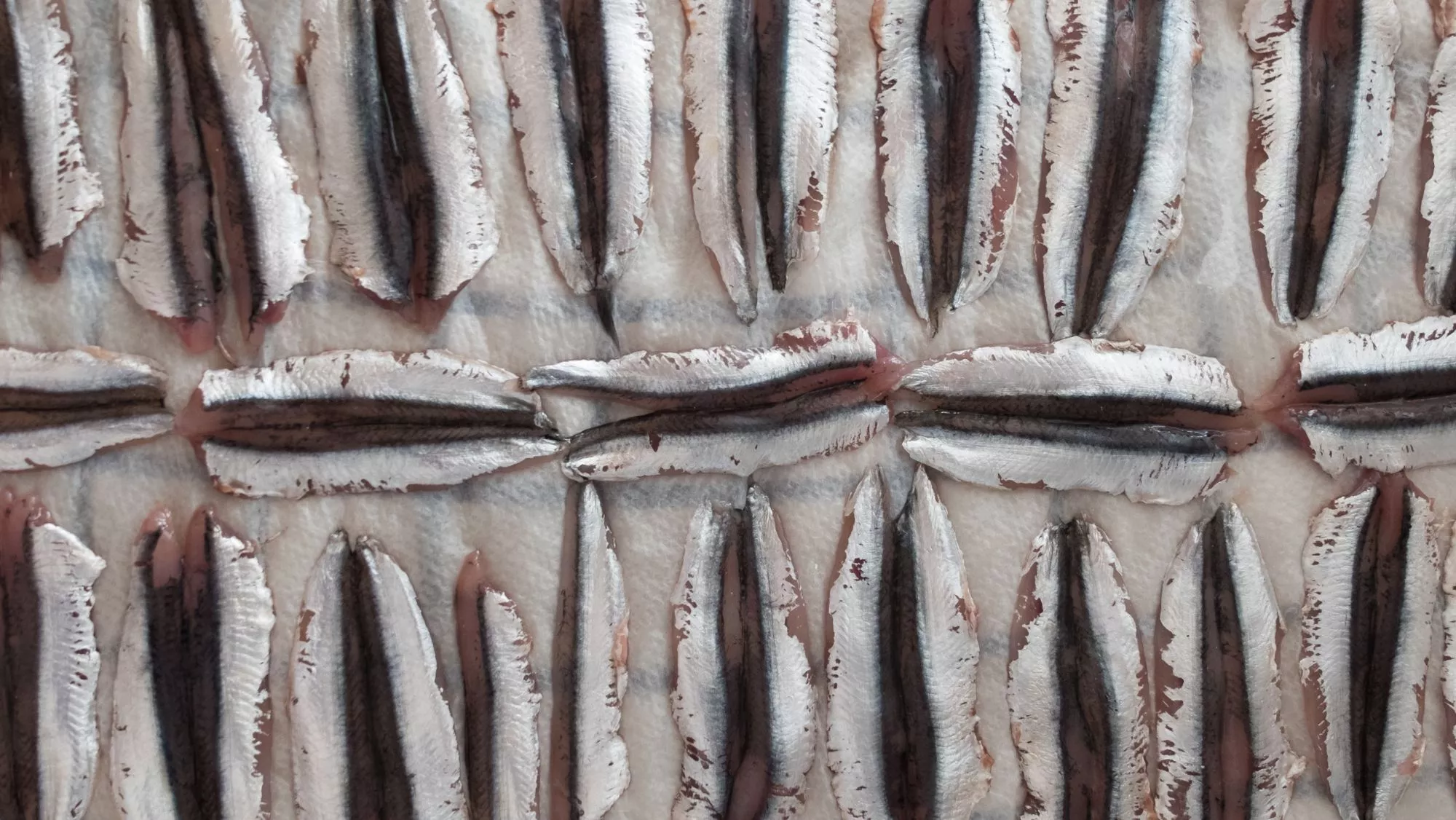 Boquerones limpios / Foto: Canva