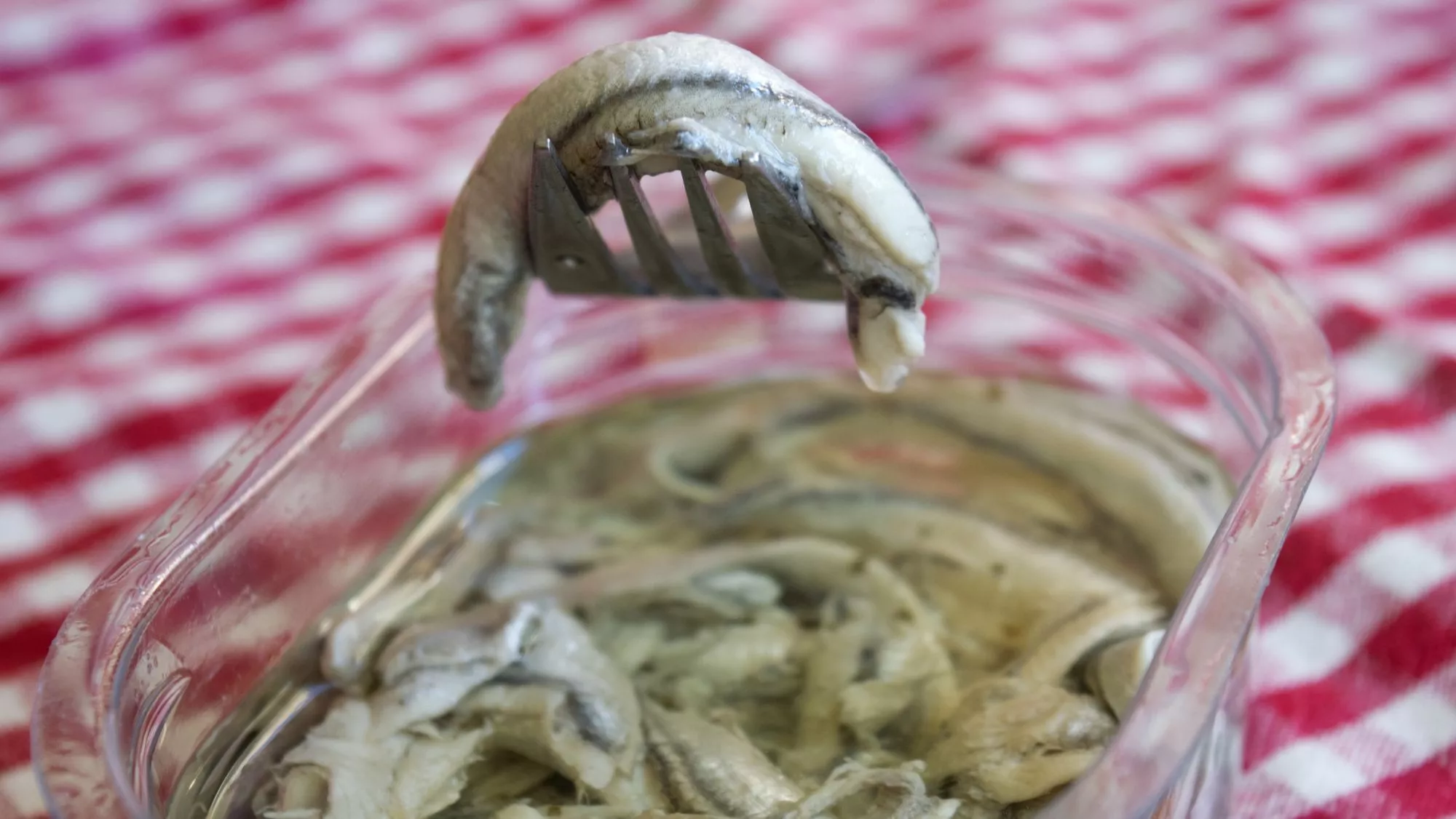 Recipiente con boquerones en vinagre / Foto: Canva